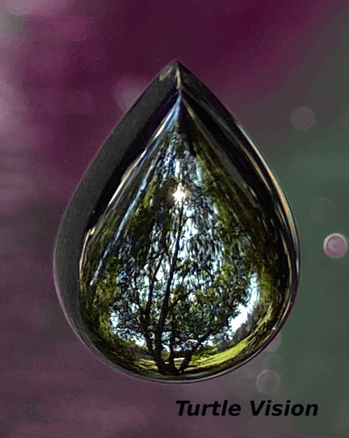 Mirror finished jade, 17mm tall    black jade teardrop reflecting small park in a California gold country town.